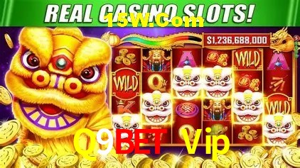 A Emoção da Loteria na Q9Bet Vip: Uma Chance de Mudança de Vida