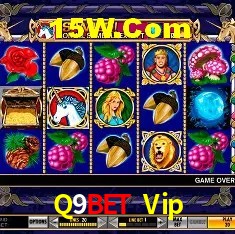 A Popularidade dos Caça-Níqueis no Q9Bet Vip