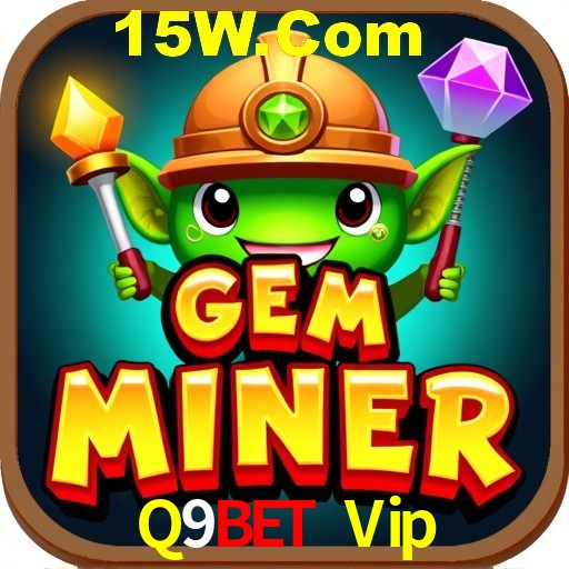Sistemas de Segurança Q9Bet Vip